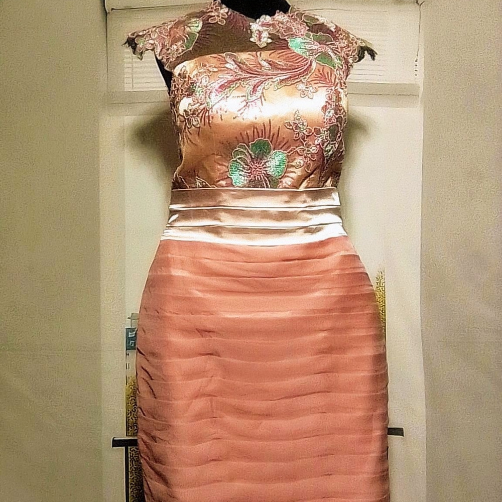 Elegant Floral Embroidered Dress